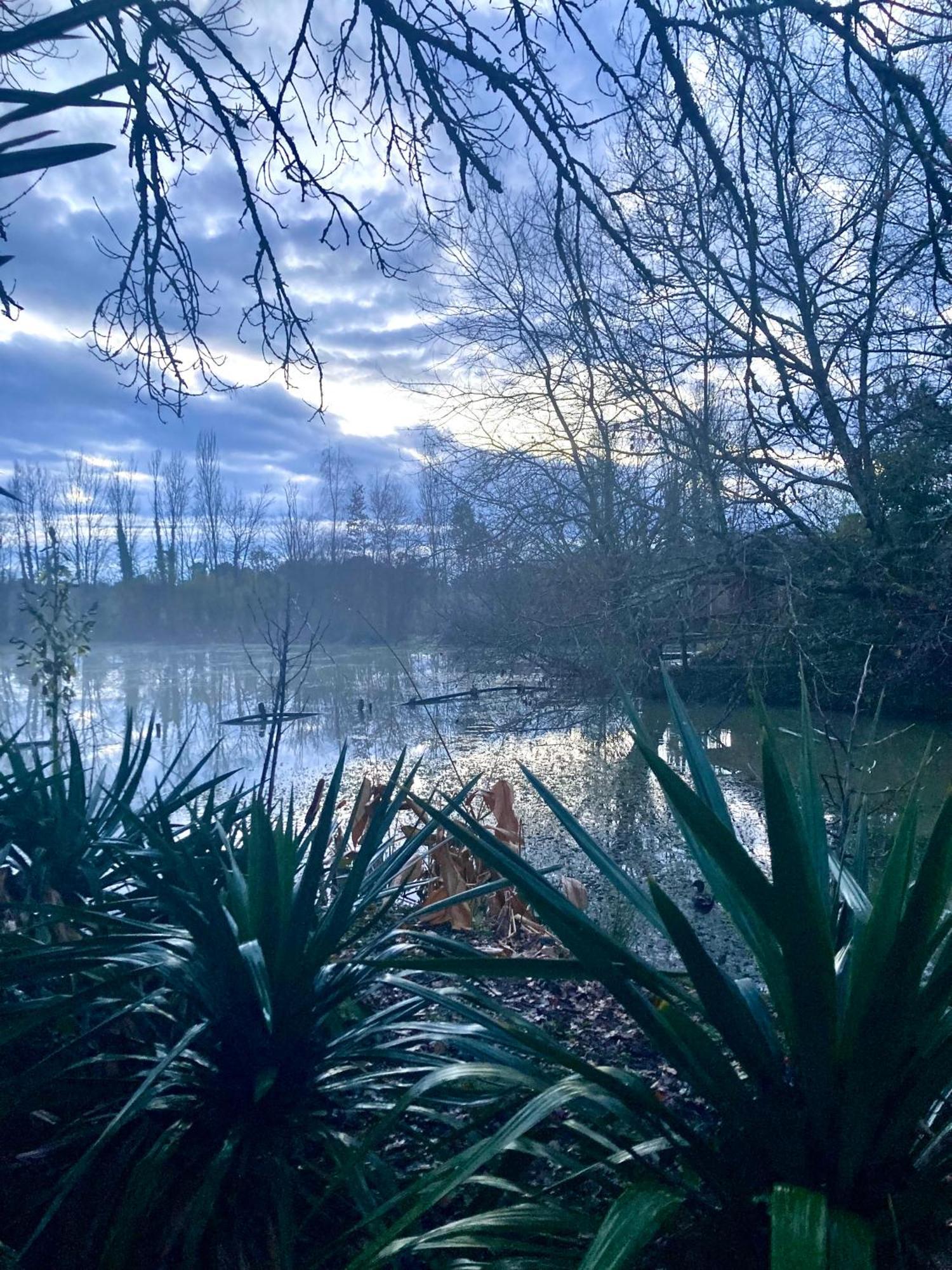 Maison De Campagne - La Belle Claudine Laruscade Dış mekan fotoğraf