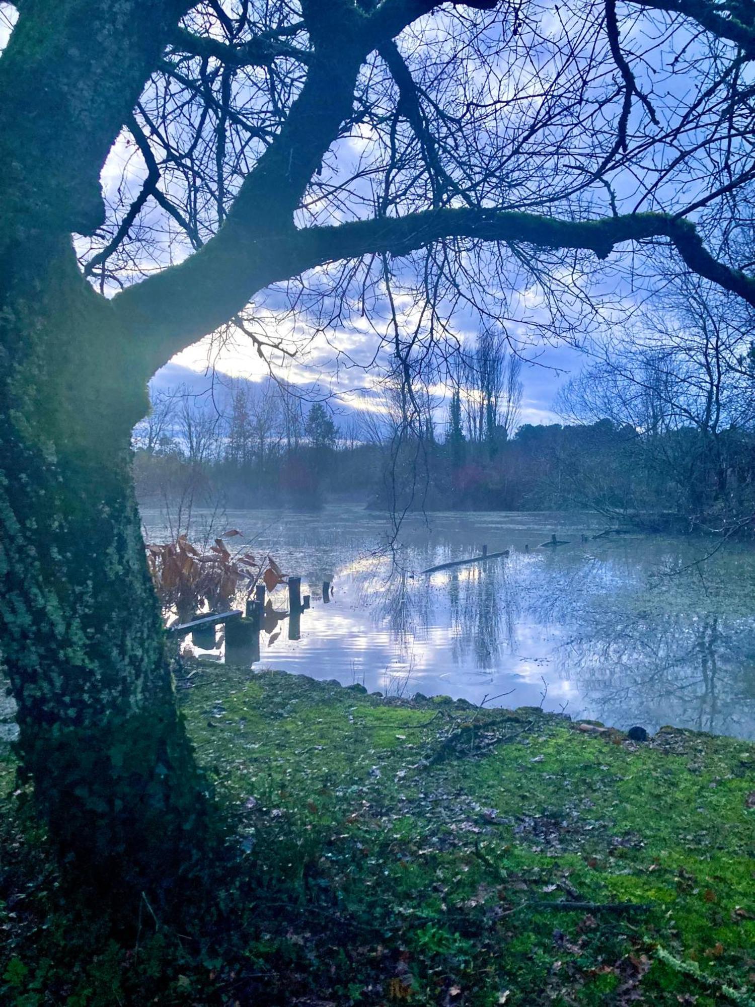 Maison De Campagne - La Belle Claudine Laruscade Dış mekan fotoğraf